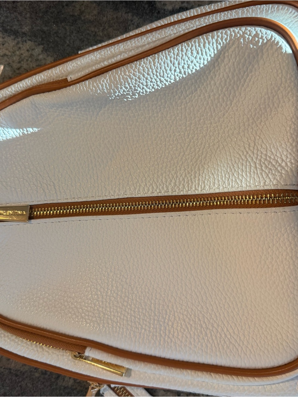 Dooney & Bourke Cream and Tan Pebbled Leather Crossbody with Gold Hardware
